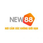 New88 – Nơi Cảm Xúc Không Giới Hạn